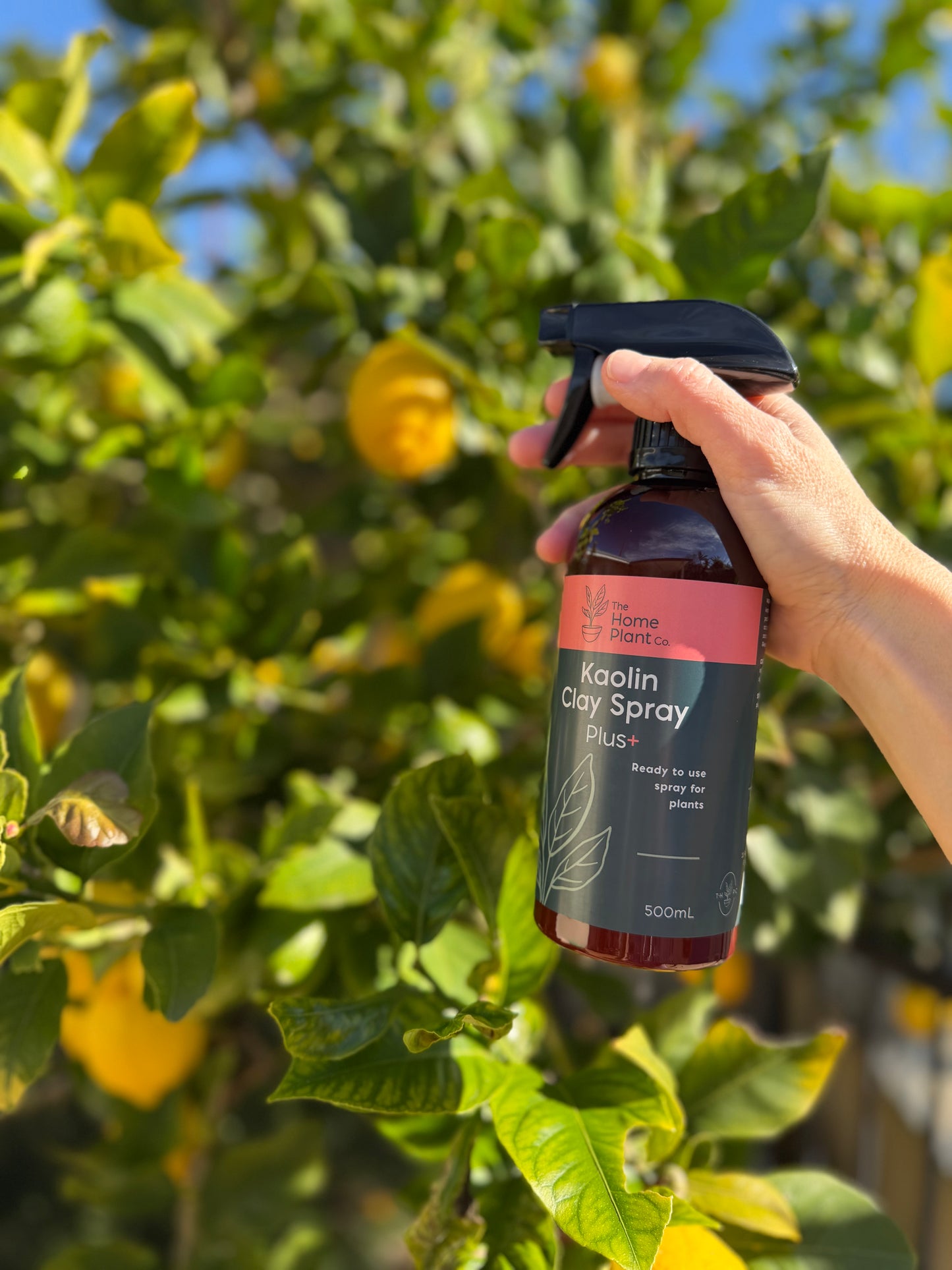 Kaolin Clay Spray 500ml