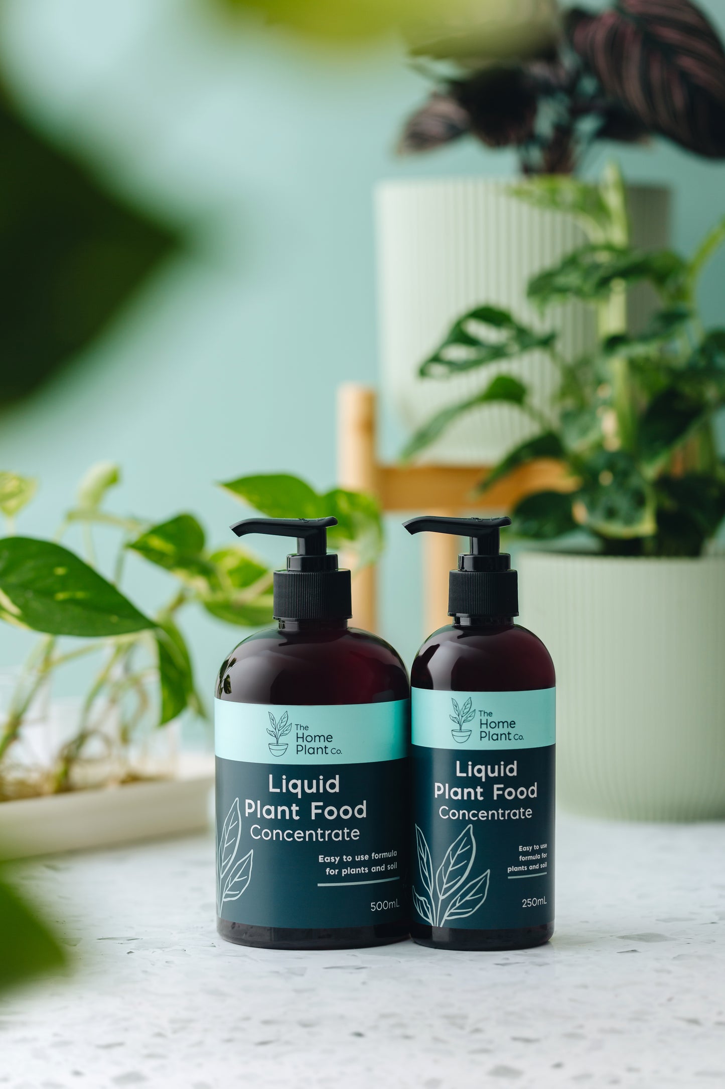 Liquid Plant Food Concentrate 250ml