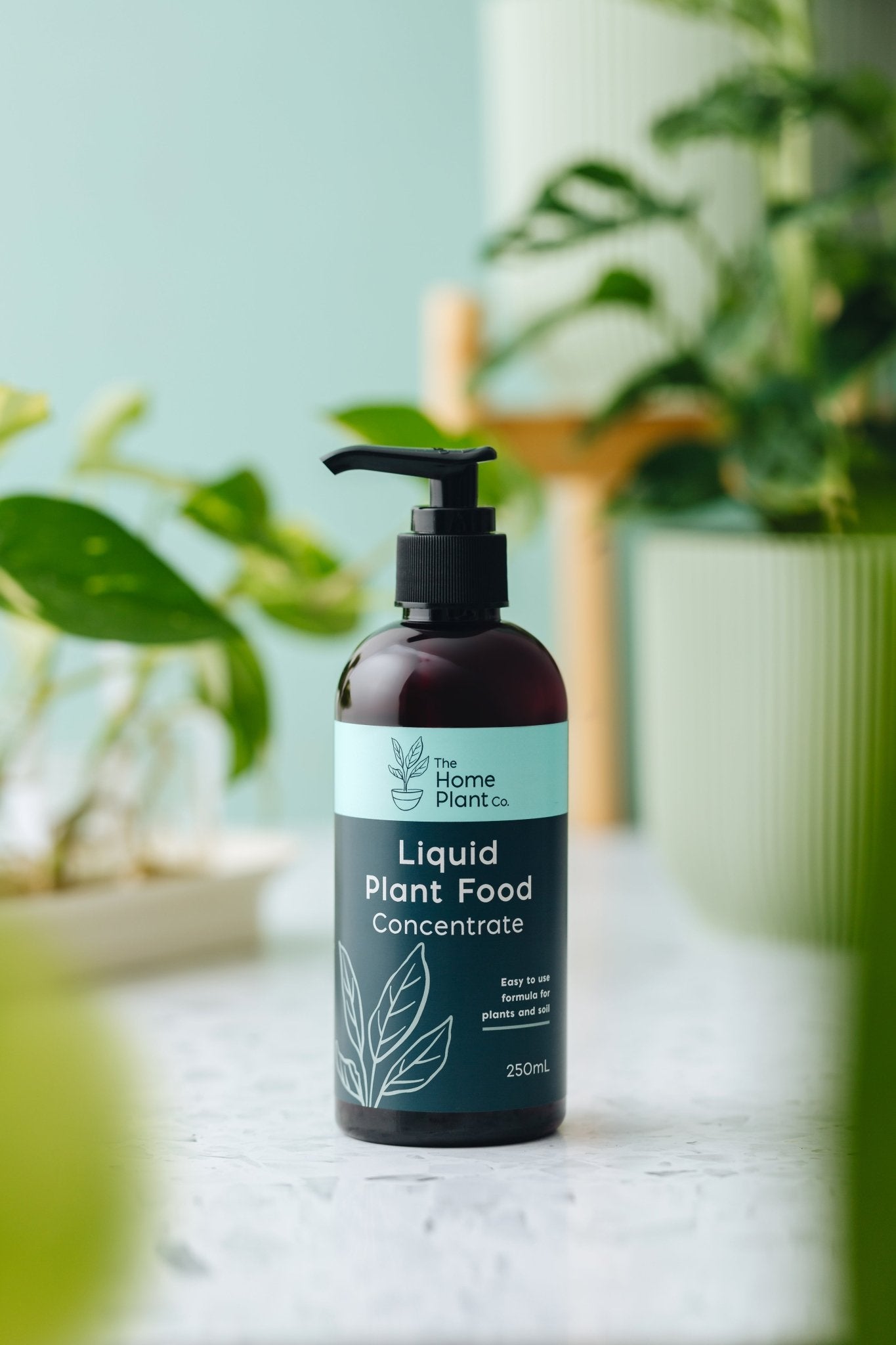liquid house plant food Liquid Plant Food Concentrate 250ml – The Home Plant Co