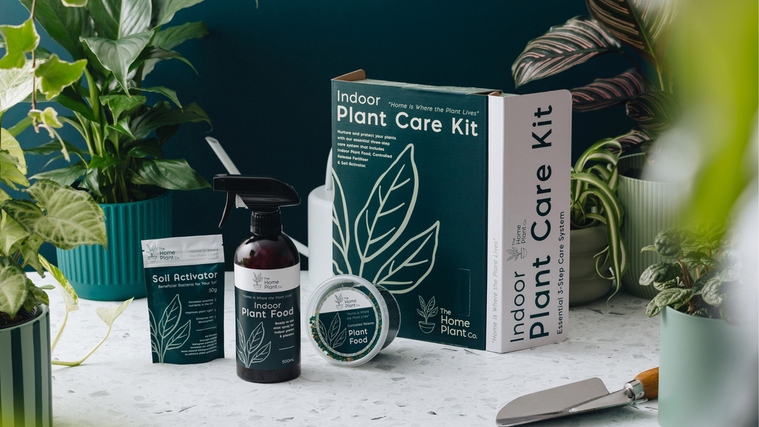 Plant Care Kit on bench surrounded by plants