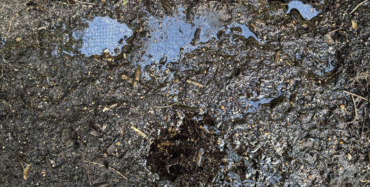 Struggling with Dry, Sandy Soil? Here’s How to Fix Water-Repellent Soil - The Home Plant Co