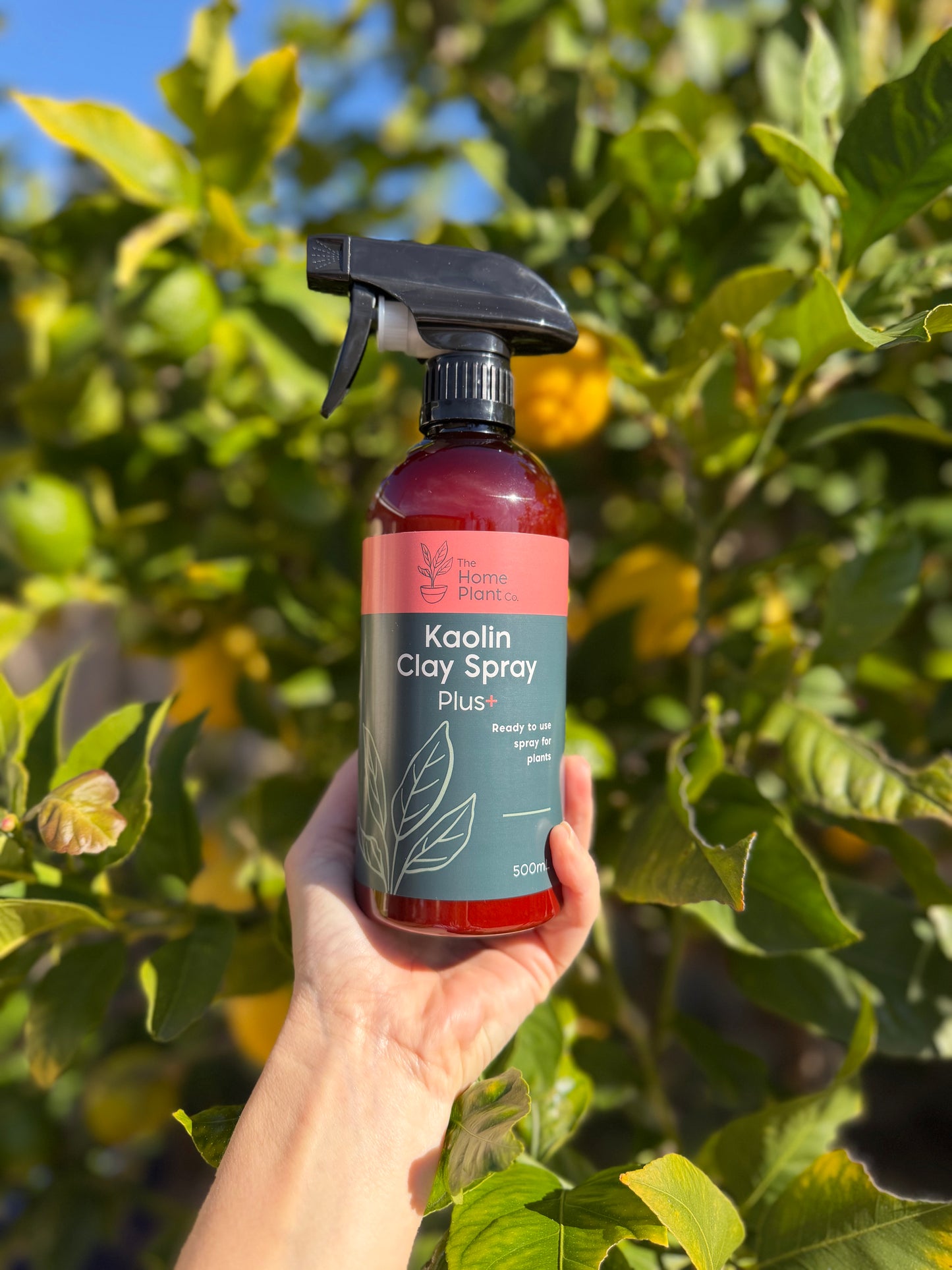 Kaolin Clay Spray 500ml