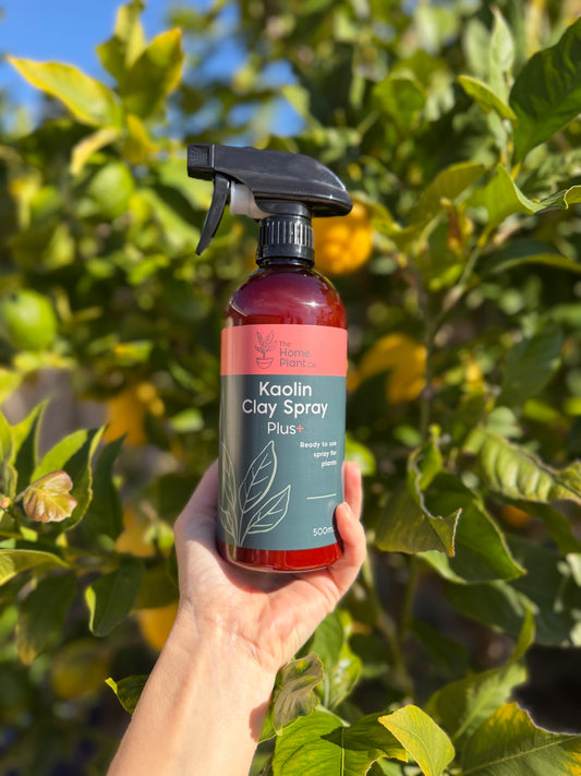 Kaolin Clay Spray 500ml