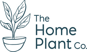 The Home Plant Co