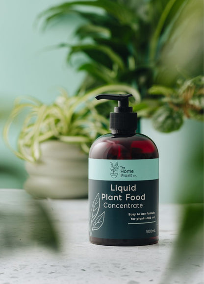 liquid house plant food Liquid Plant Food Concentrate 500ml – The Home Plant Co