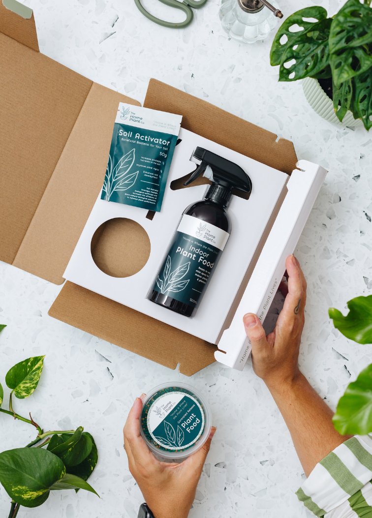 house plant care kit Plant Care Kit – The Home Plant Co