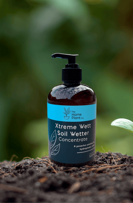 Soil Wetter Concentrate - 500mL - The Home Plant Co