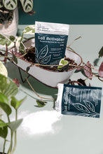 Load image into Gallery viewer, The Home Plant Co soil activator, beneficial bacteria showing open pouch and surrounded by plants
